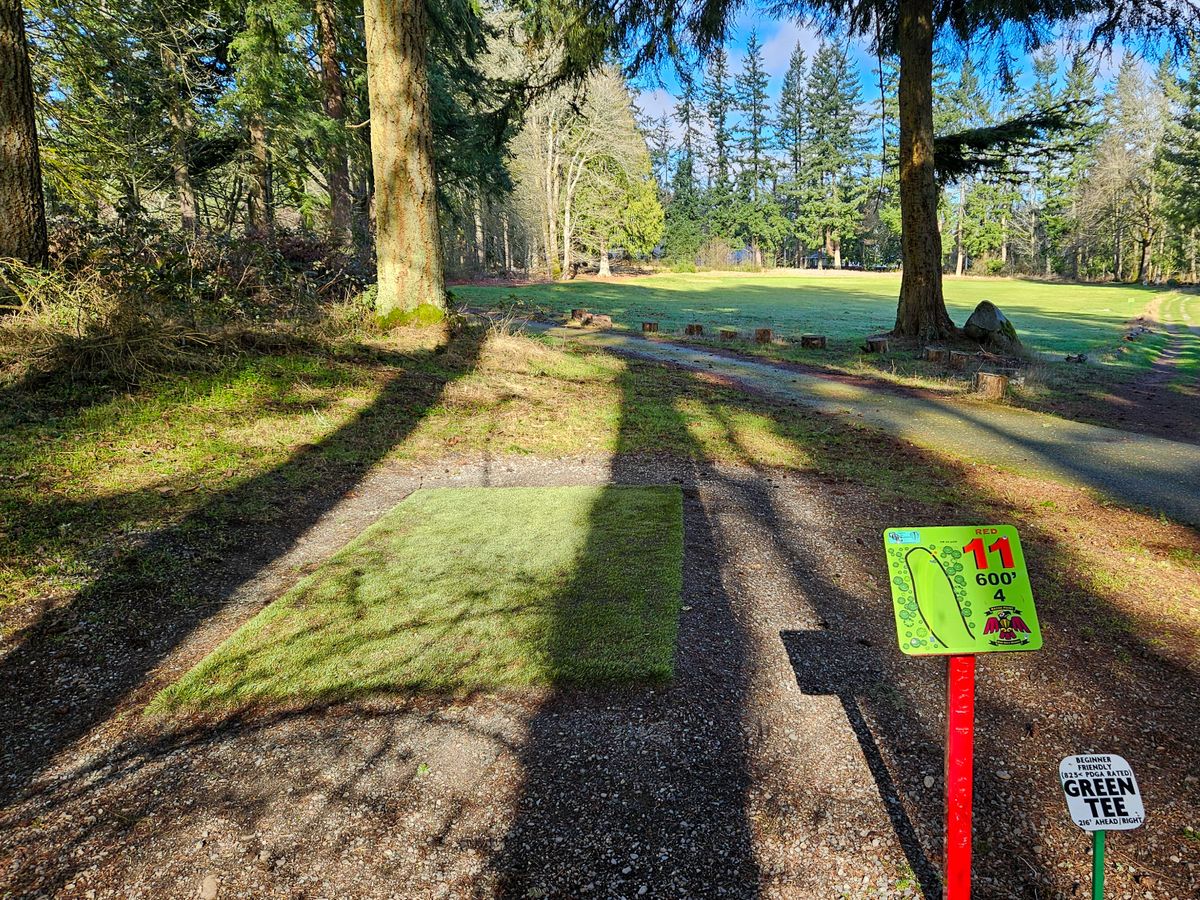 Hole 11 tee pad