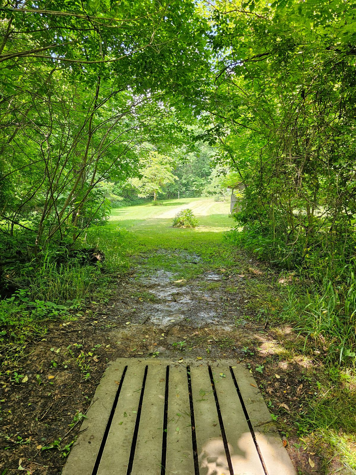 Hole 13