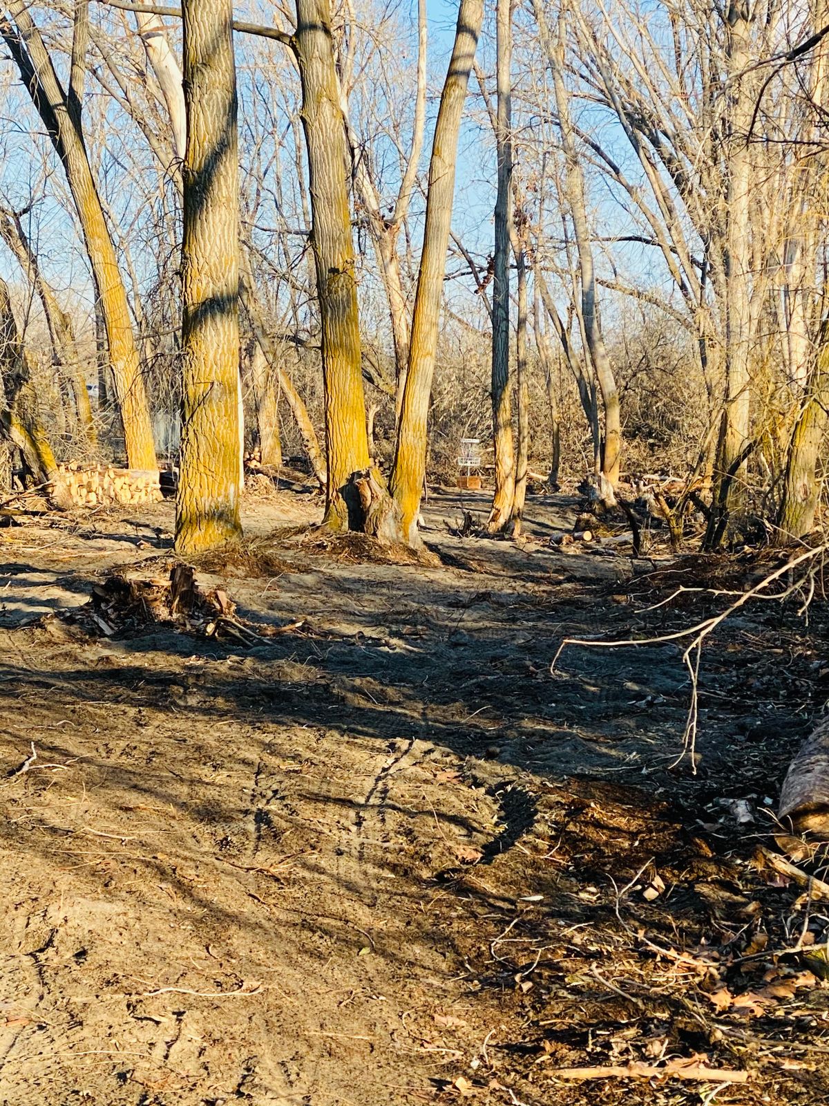 Hole 17