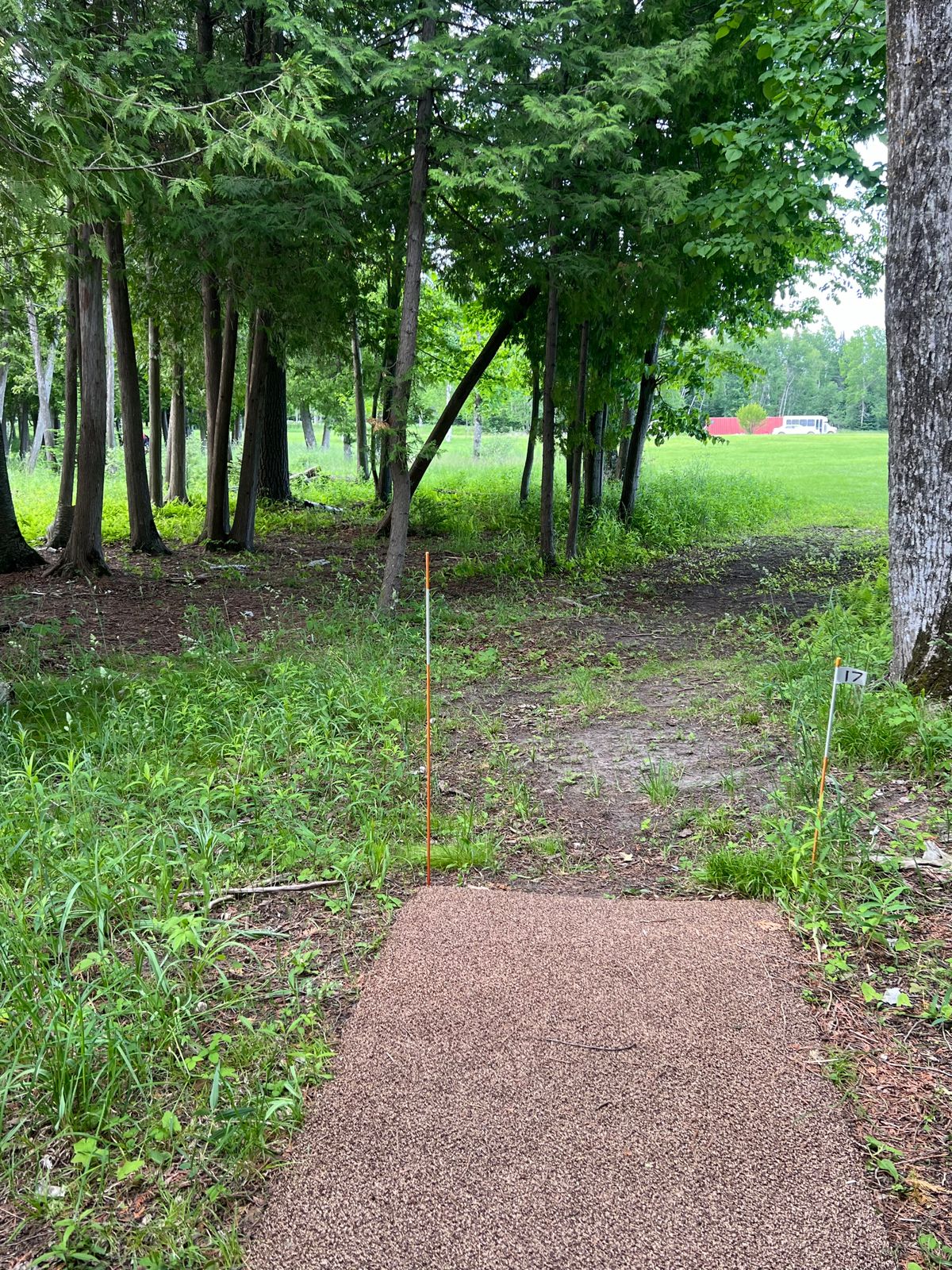 Tee pad 18
