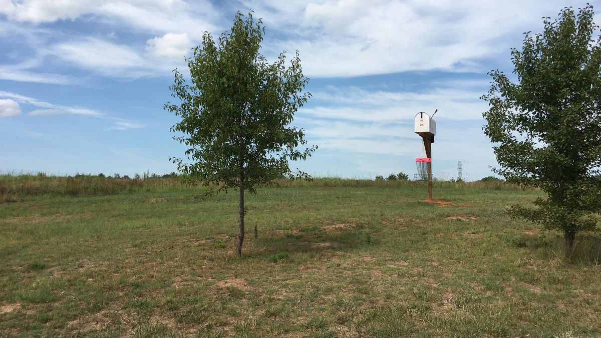 Hole 9