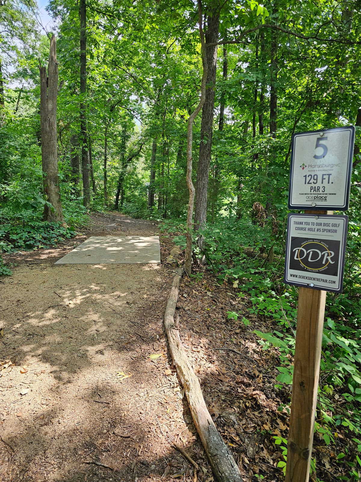 Hole 5