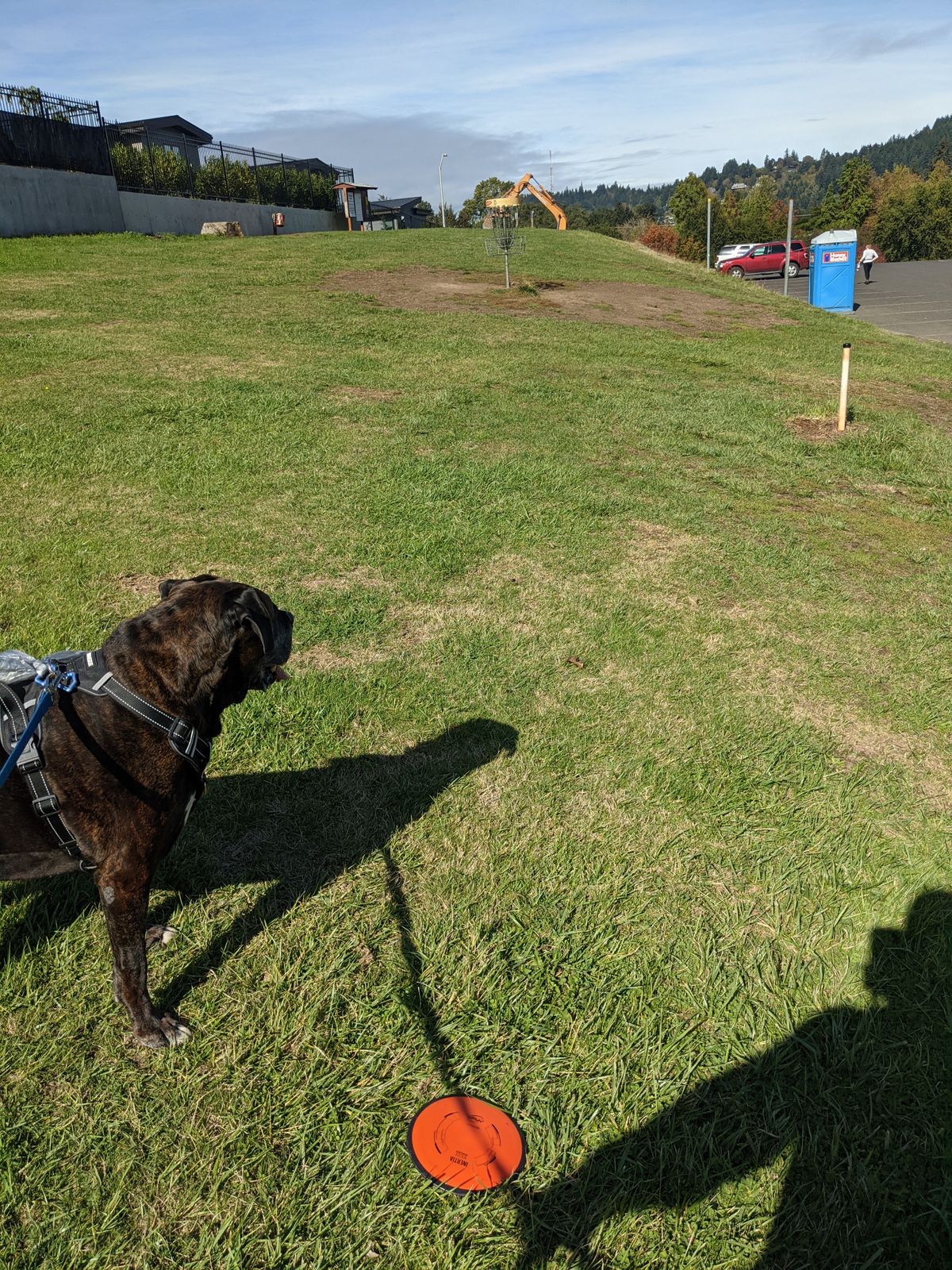 Hole 15