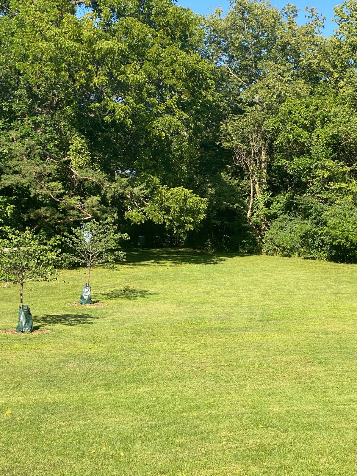 Hole 7 mid-fairway.