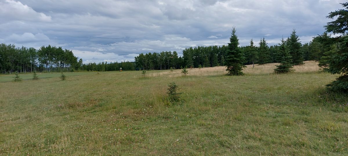 Great potential Disc Golf  course just needs tee signs and arrows pointing to next tee pad.