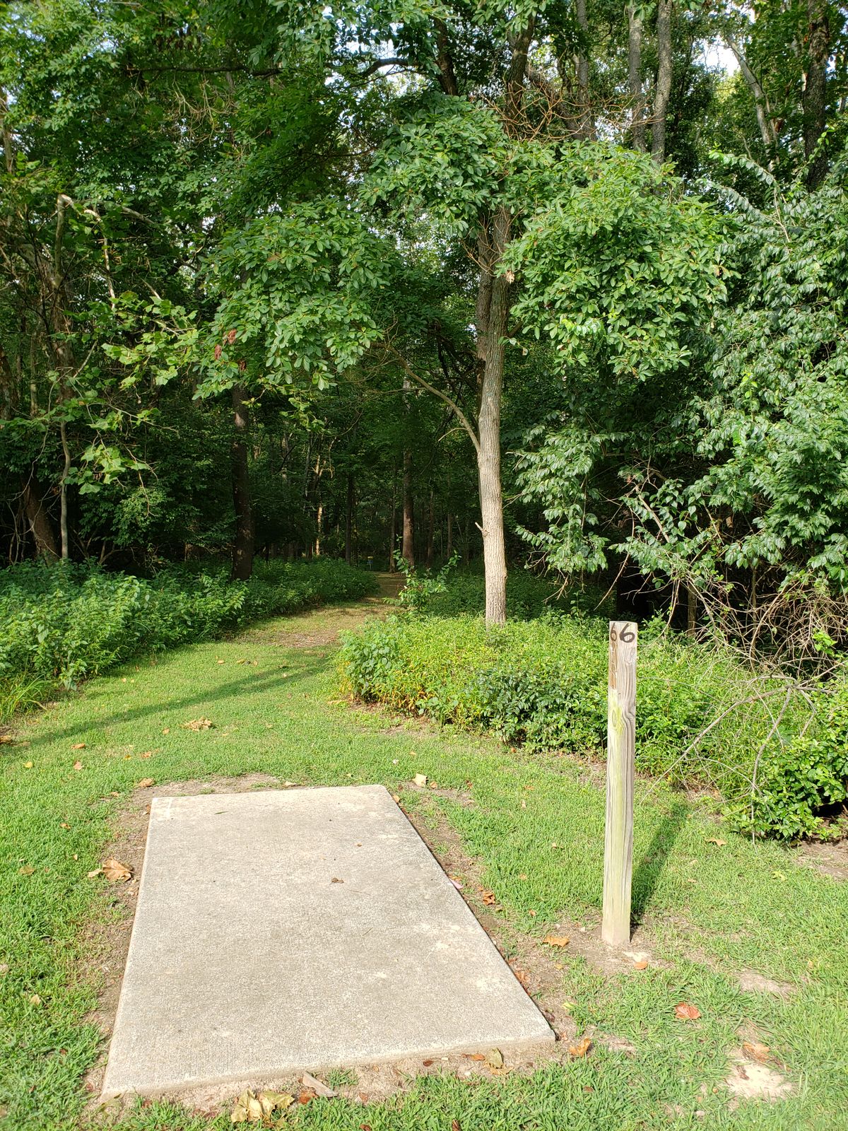 #6 Tee-Pad and Fairway,  missing Tee Sign