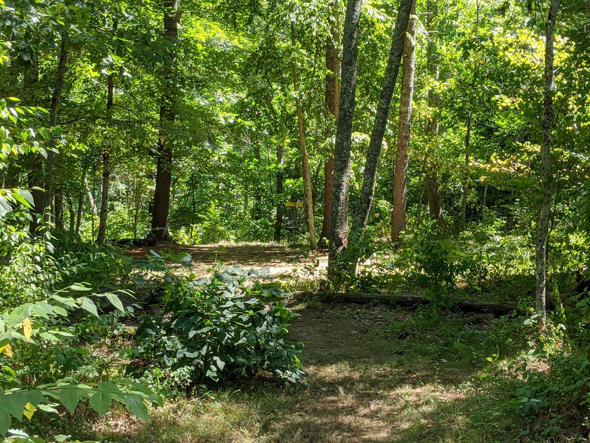 Hole 12