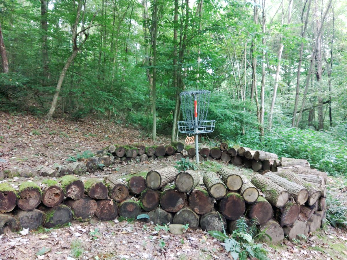 Hole 11 basket