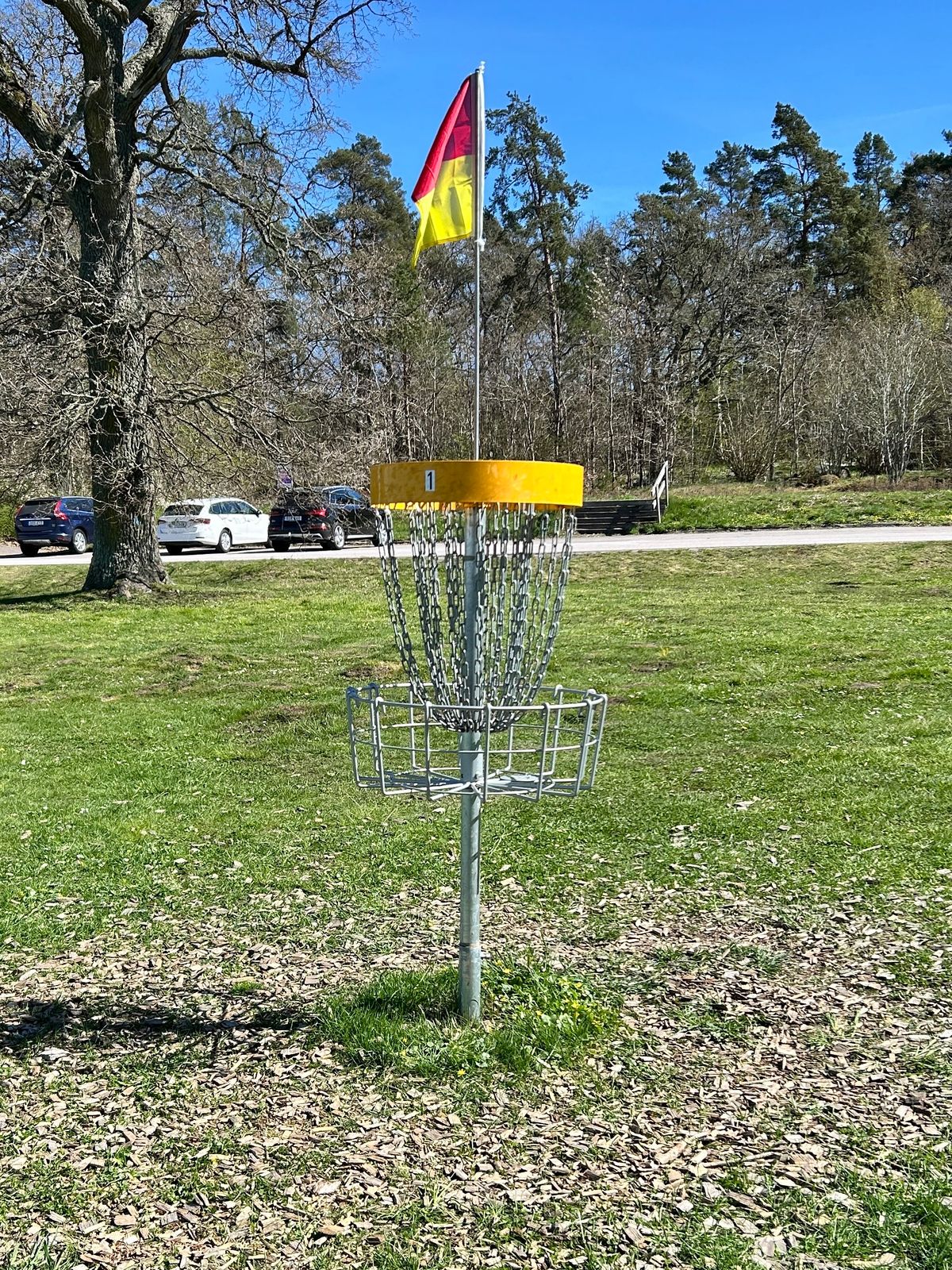 Hål 1 med ny korgflagga