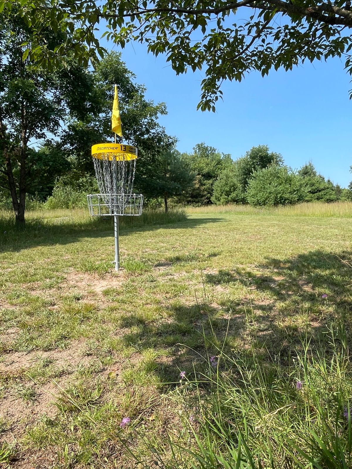 Looking backwards towards tee pads