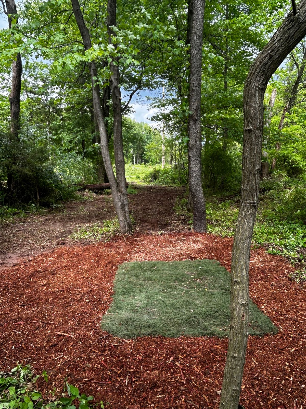 Hole 10s Tpad