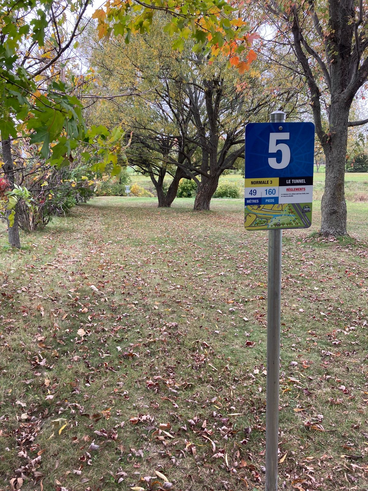 Départ #5, panier en ligne droite avant le ruisseau