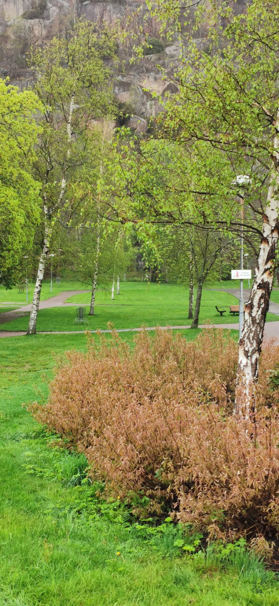 Mycket bra och lagom barna, 4/5