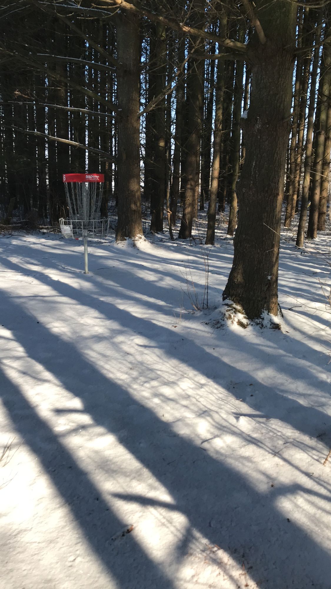 Hole 6 basket