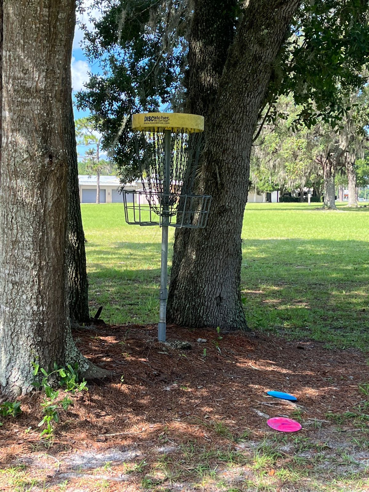 Hole 22 basket