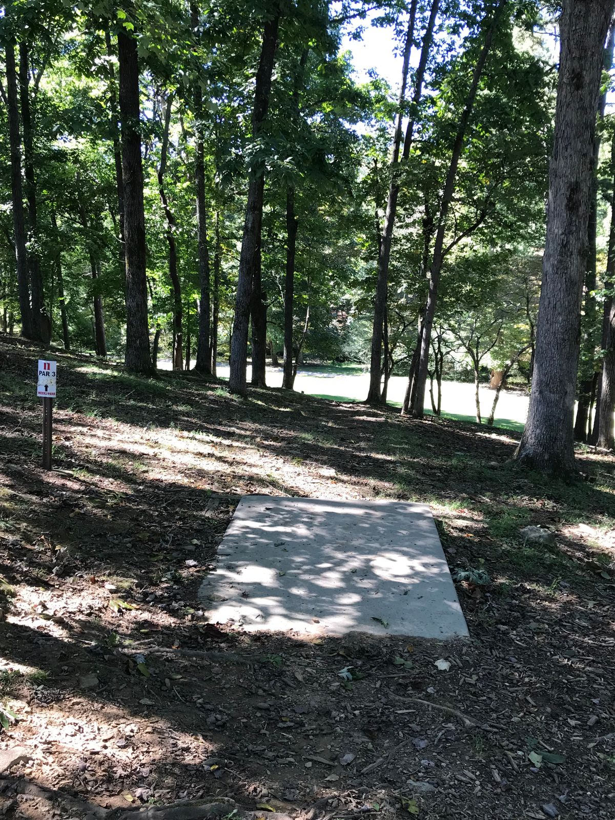 Hole 11 plays from the top of the ridge, through a tunnel of trees, down hill to a grassy field.