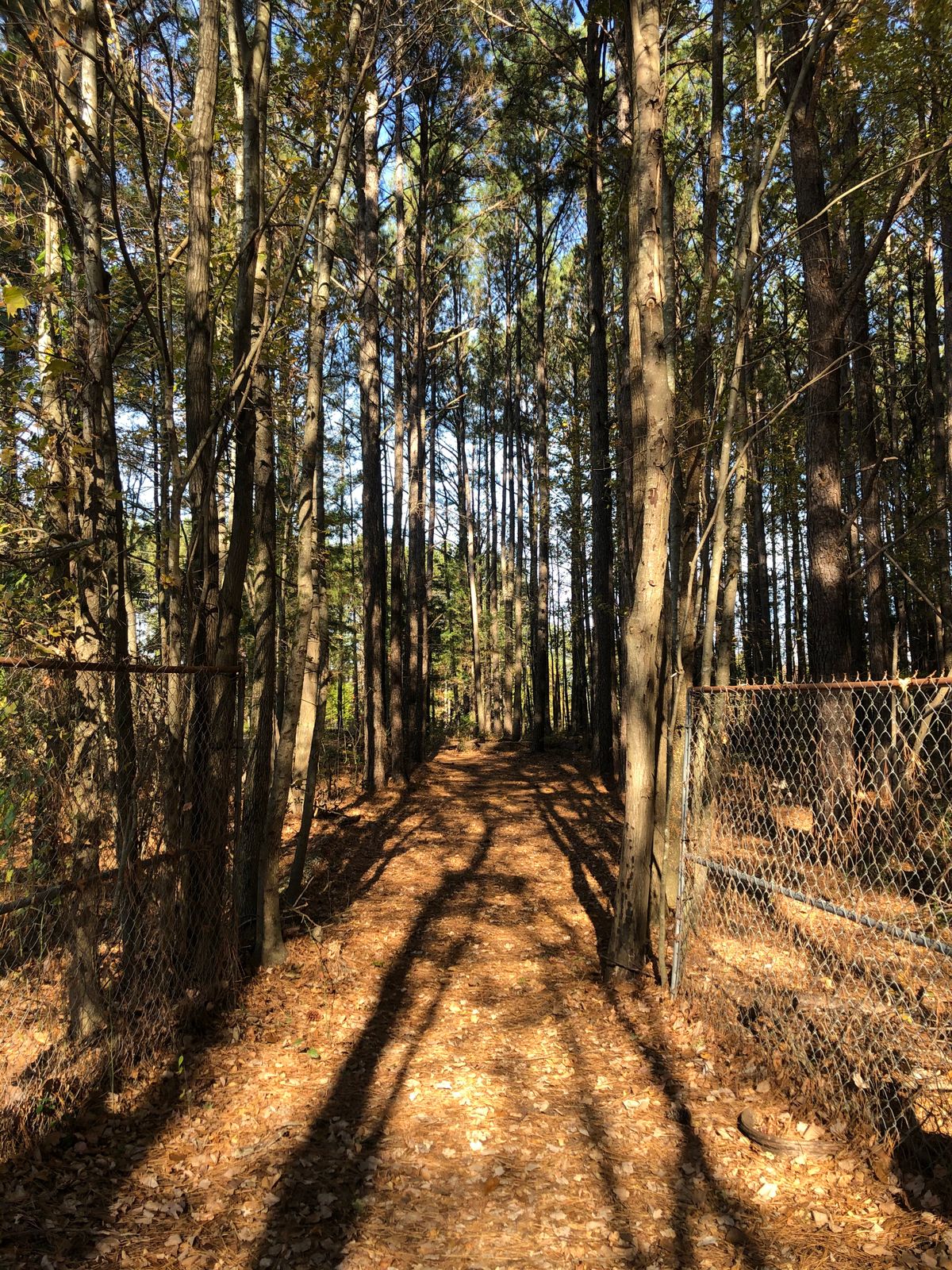 Hole 9