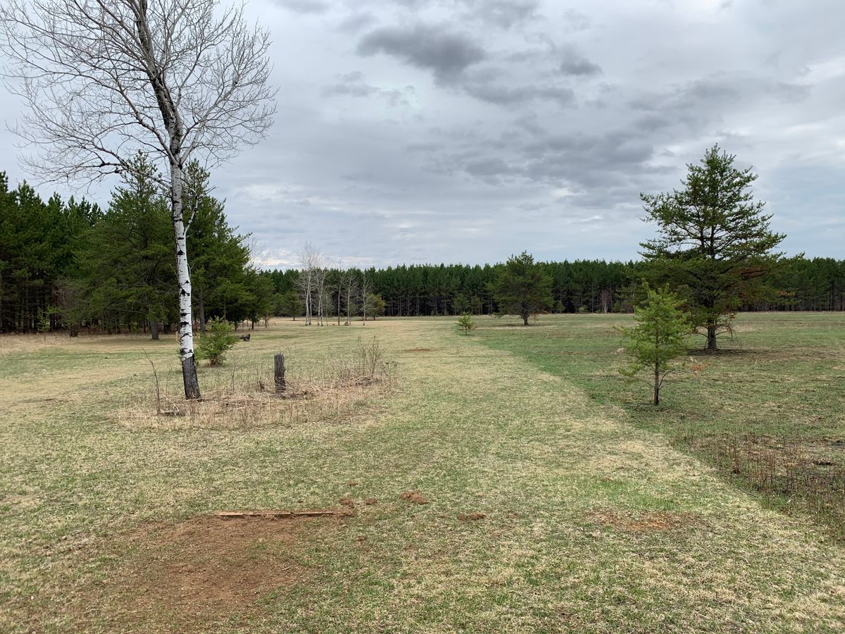 Hole 5 tee box (long)