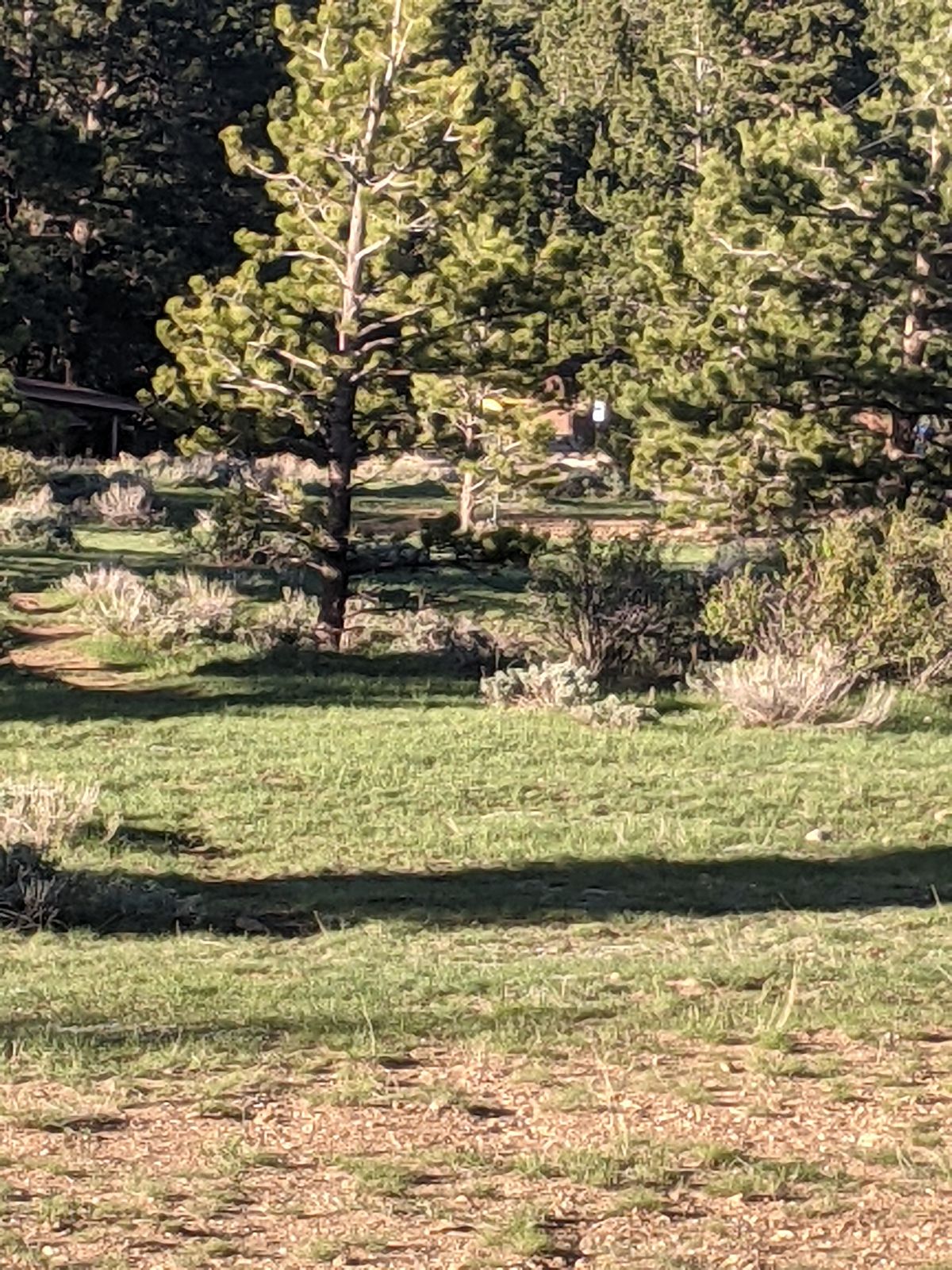 Hole 9