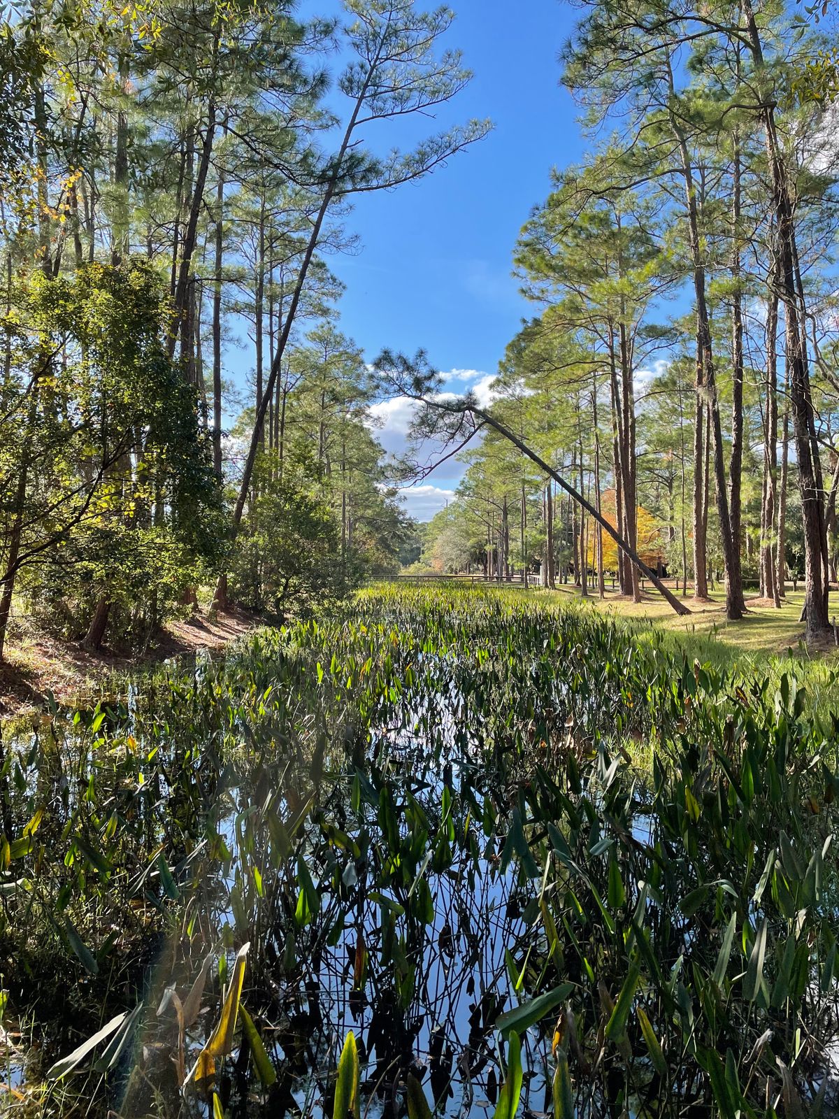 Hole 9