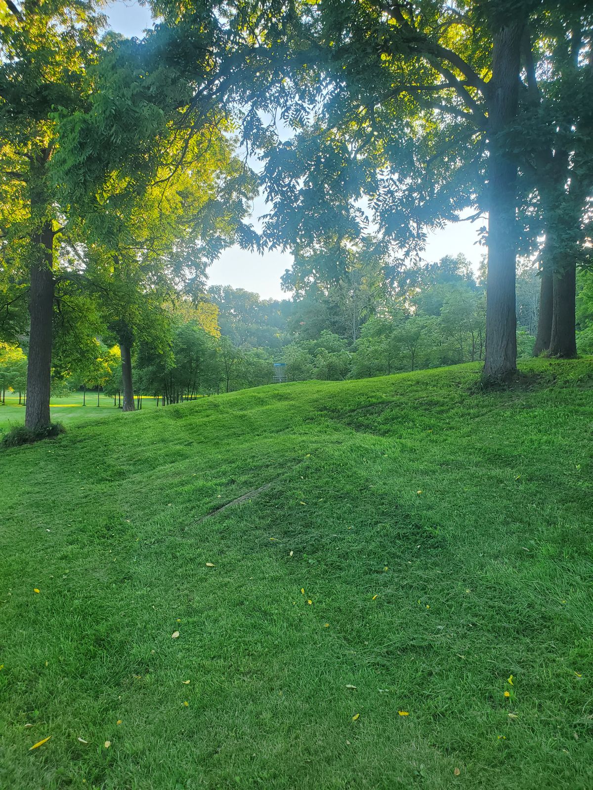 Hole 13 basket