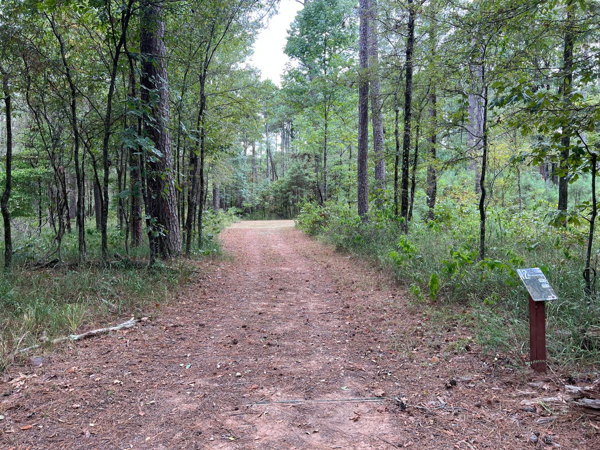 Hole 12 tee