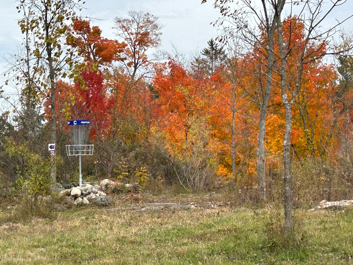 The older Mach III baskets are being replaced by DiscCatchers on the 12-hole course