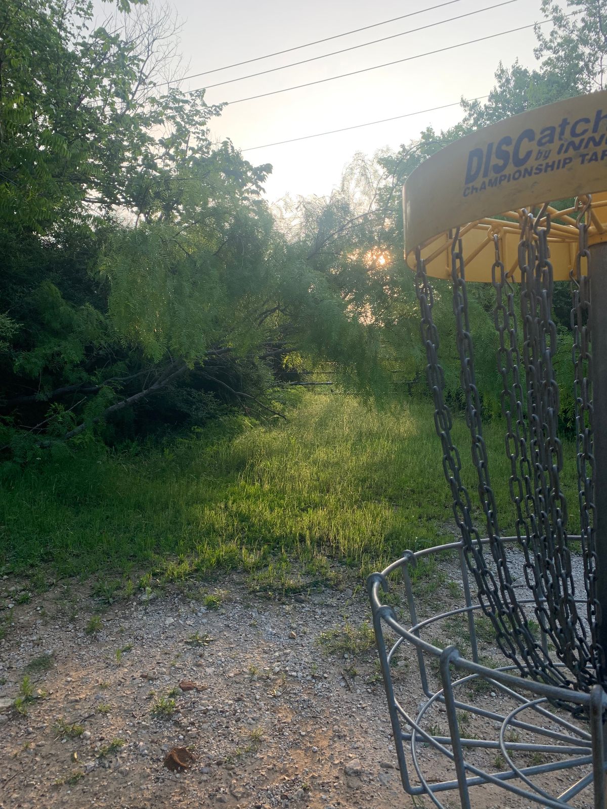 Hole 8 was beautiful with the morning sun peeking through the branches