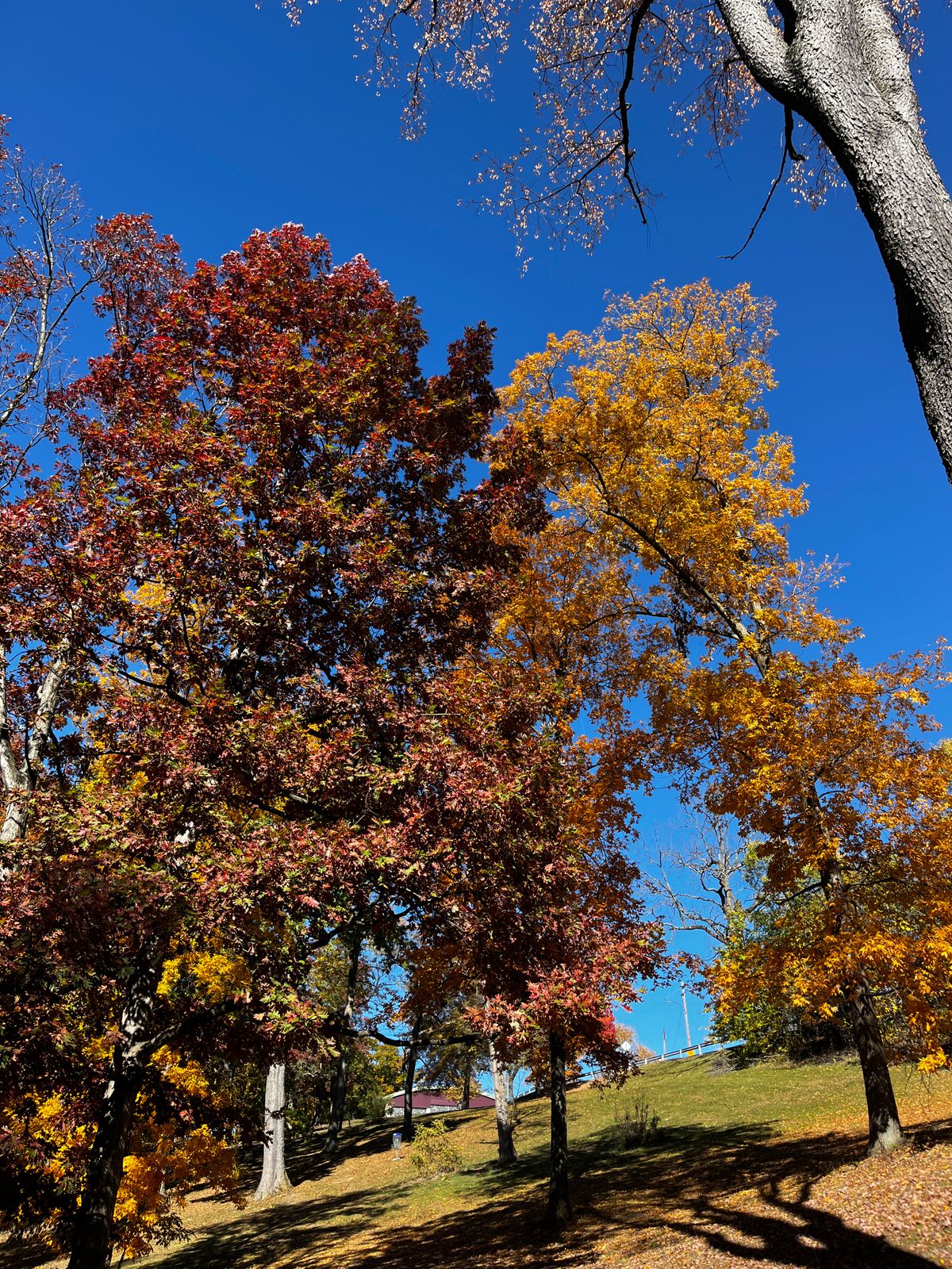 Fall weather at Phillips