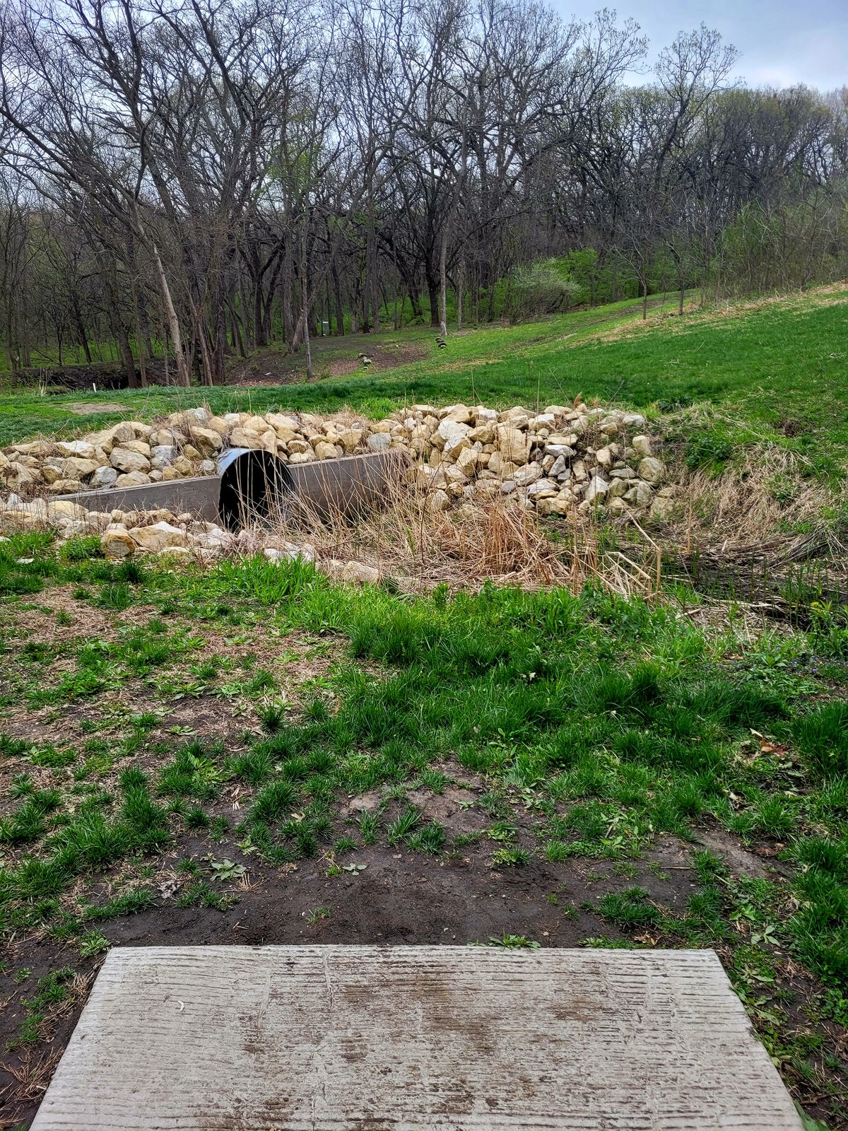 Hole 11 Long Tee