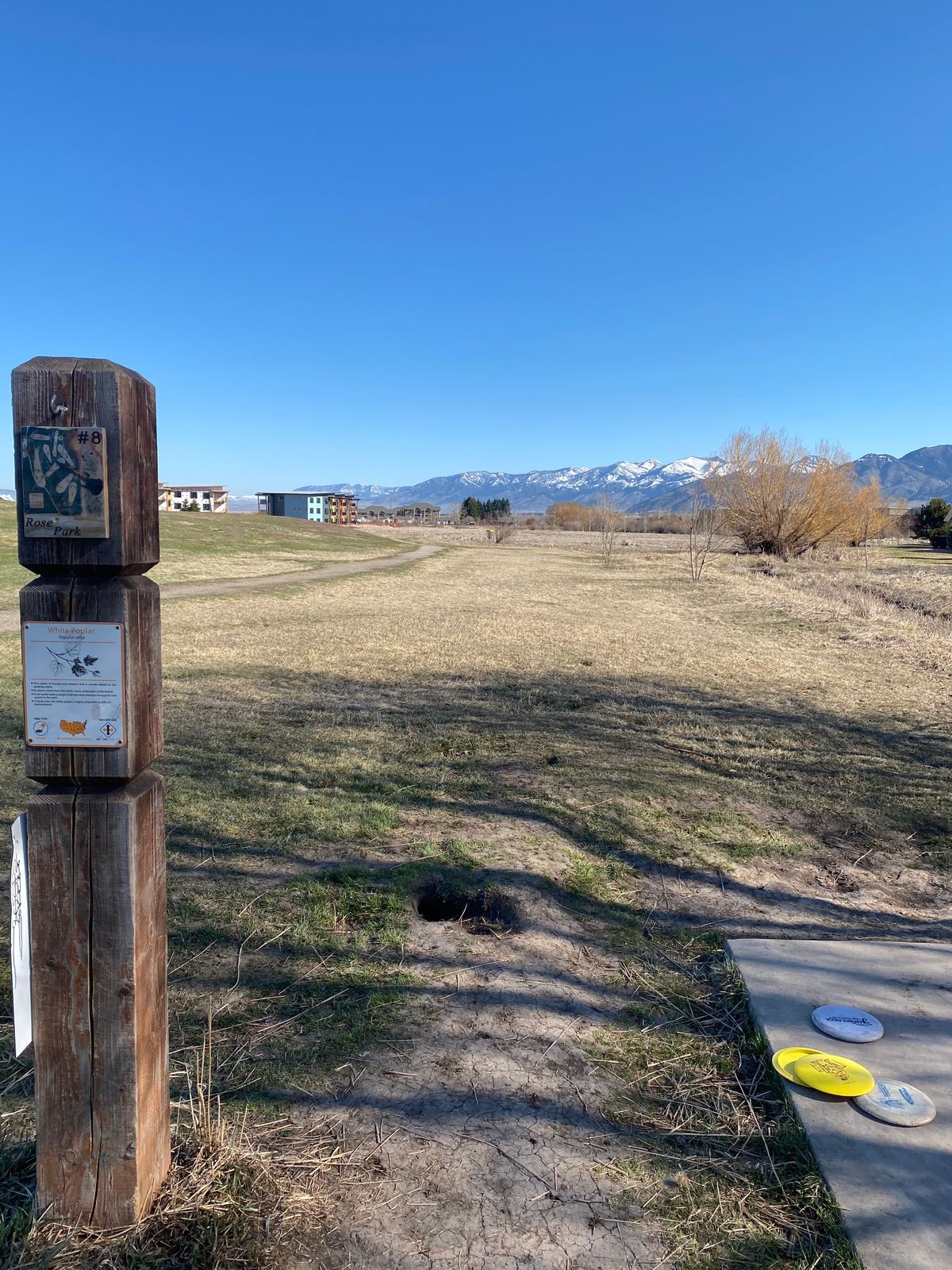 Hole 8