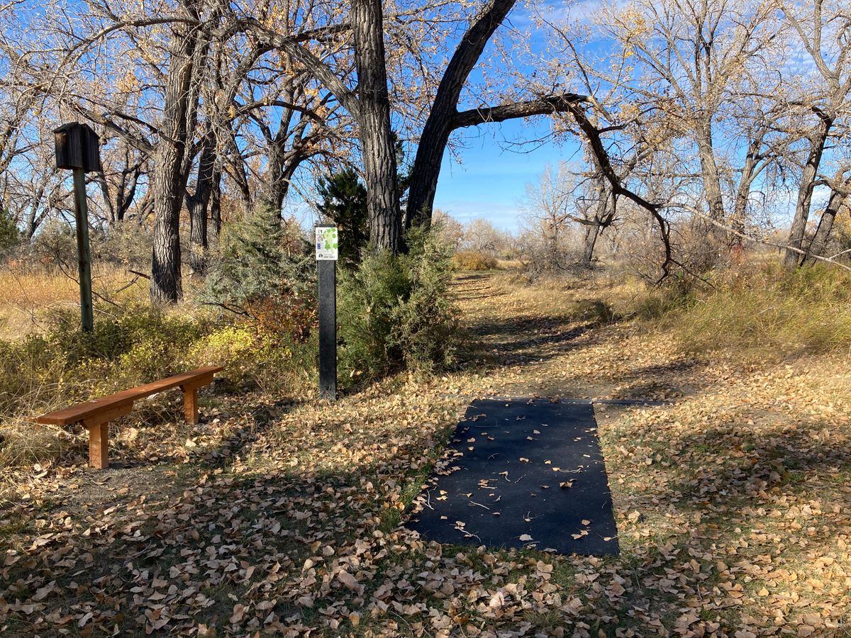 Hole 1 tee area