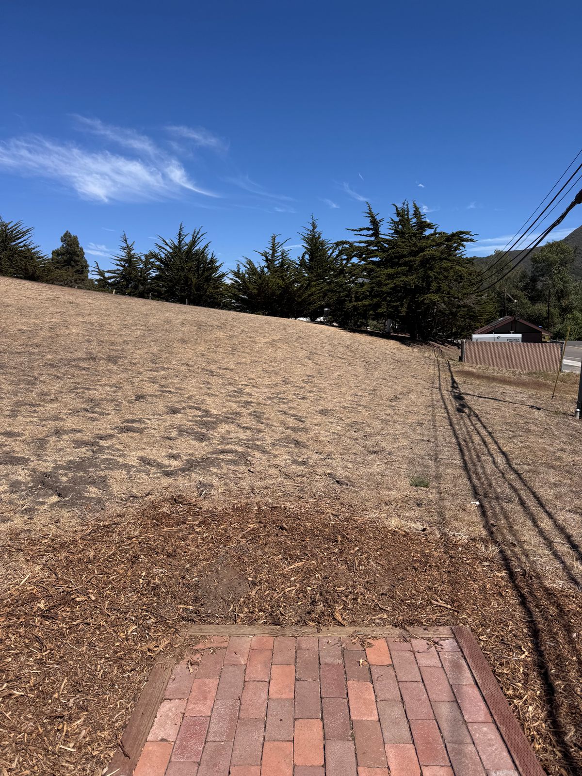 Hole 3 (8/4/25)
