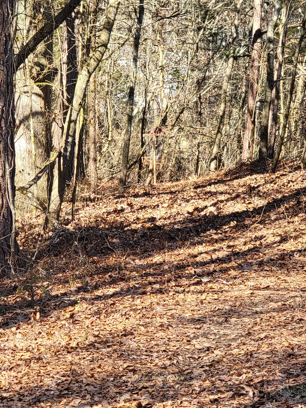 Hole 11