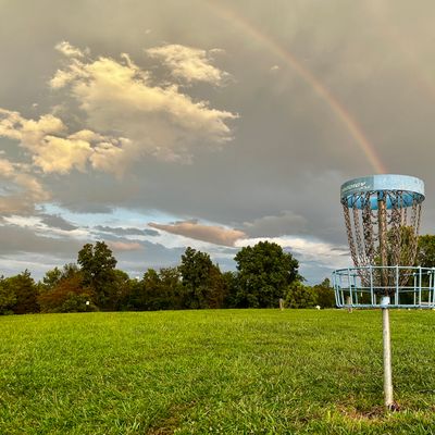 Hole 10’s basket.
