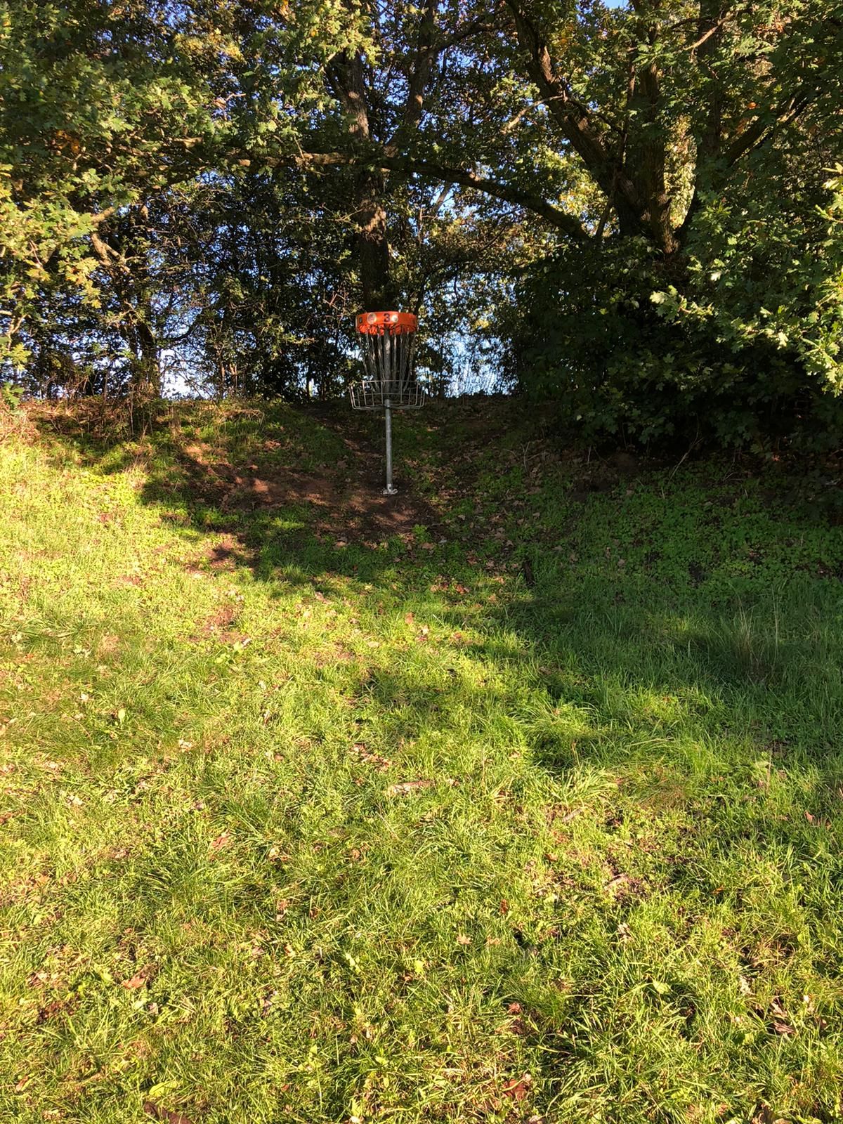 3 in long position