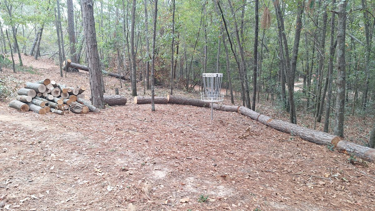 Hole 2 green