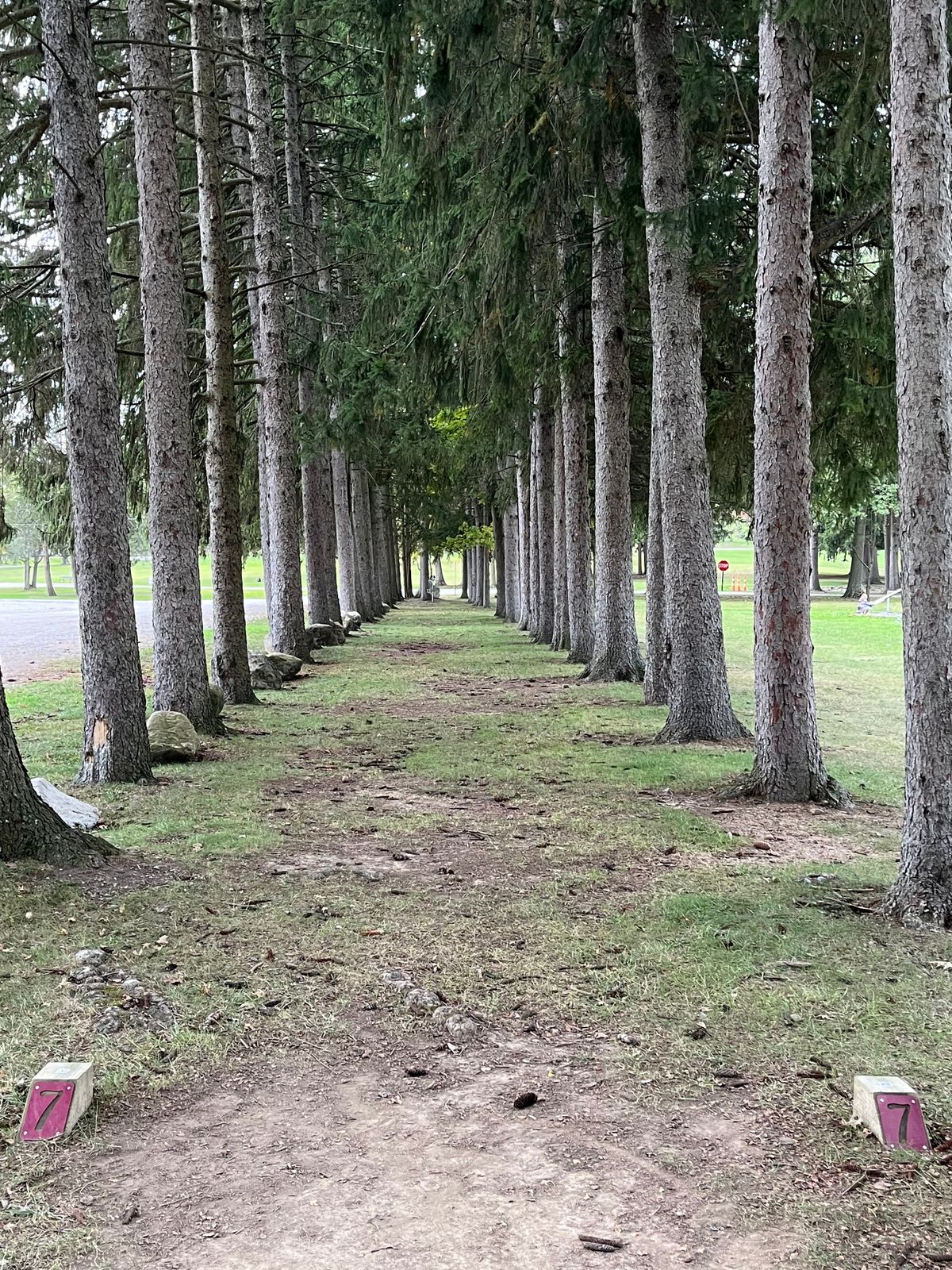 Hole 7 Tee Box - bring a stable disc!
