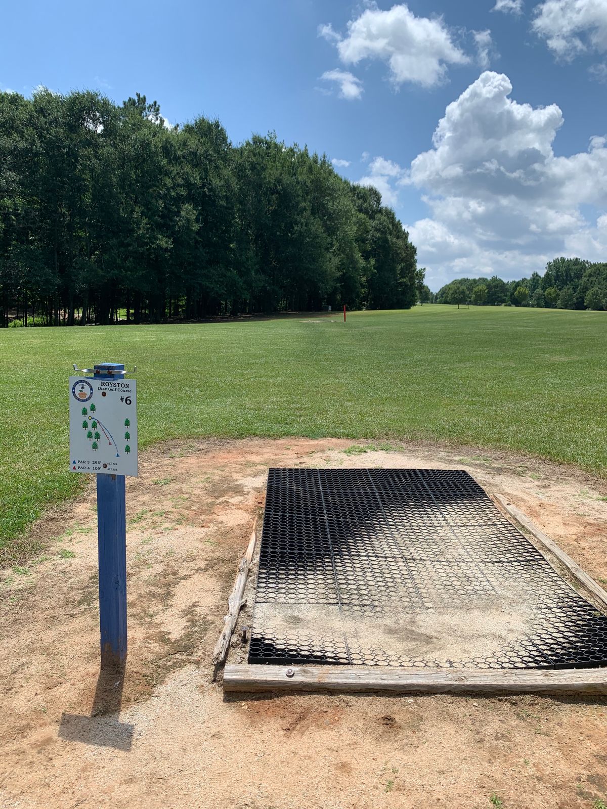 Tee Pad Basket 6, In the trees to the left of the green electrical box
