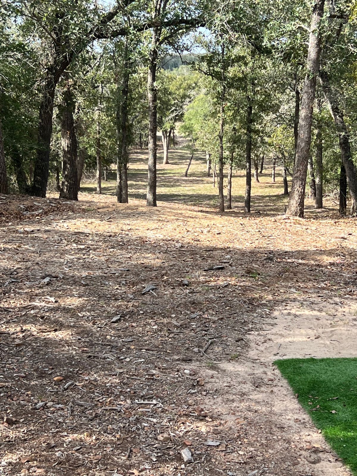 7 tee