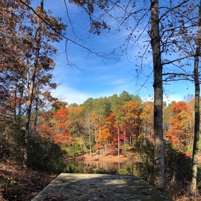 Hole 14 (pro tee)