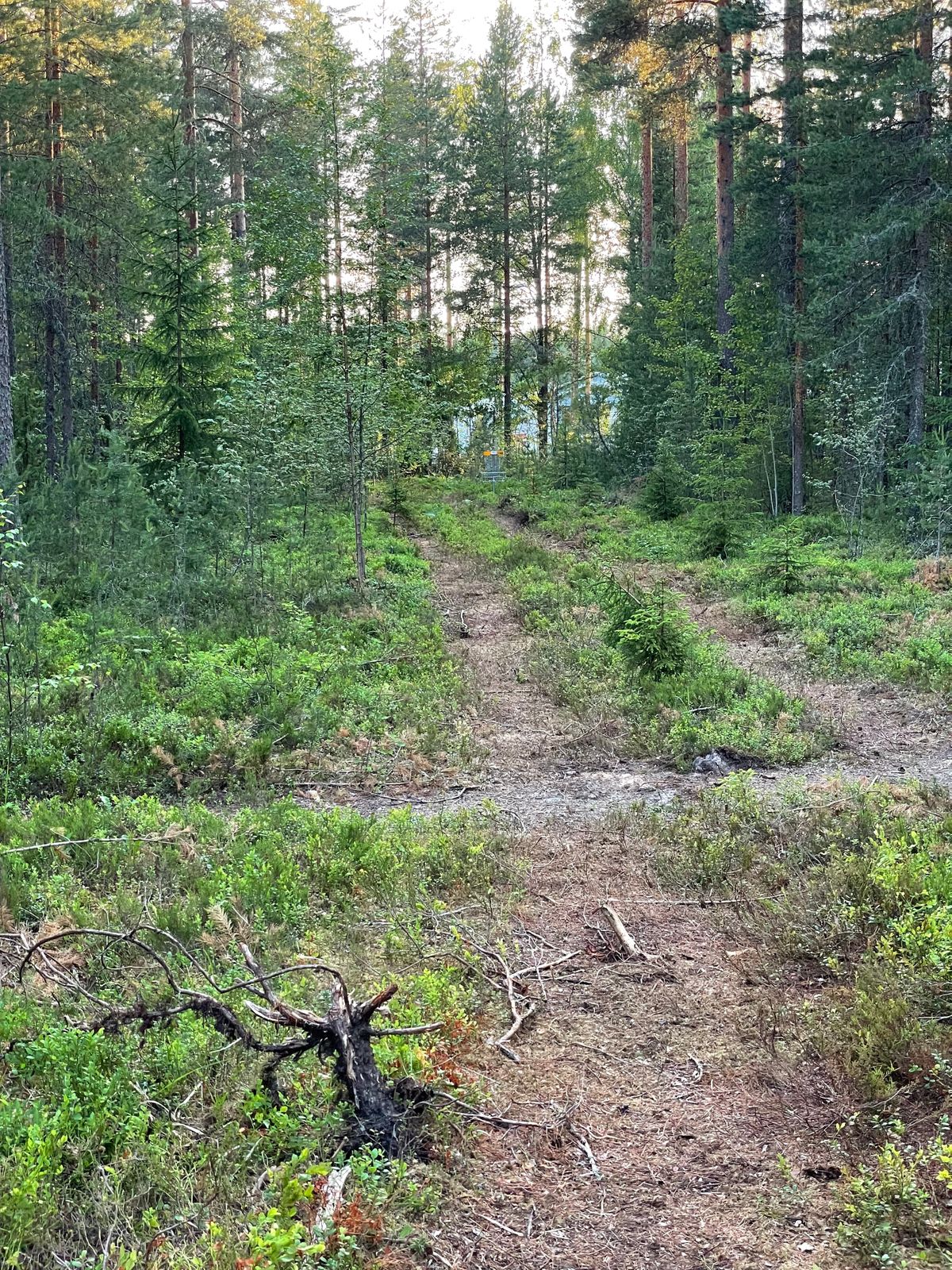 8 -väylää
