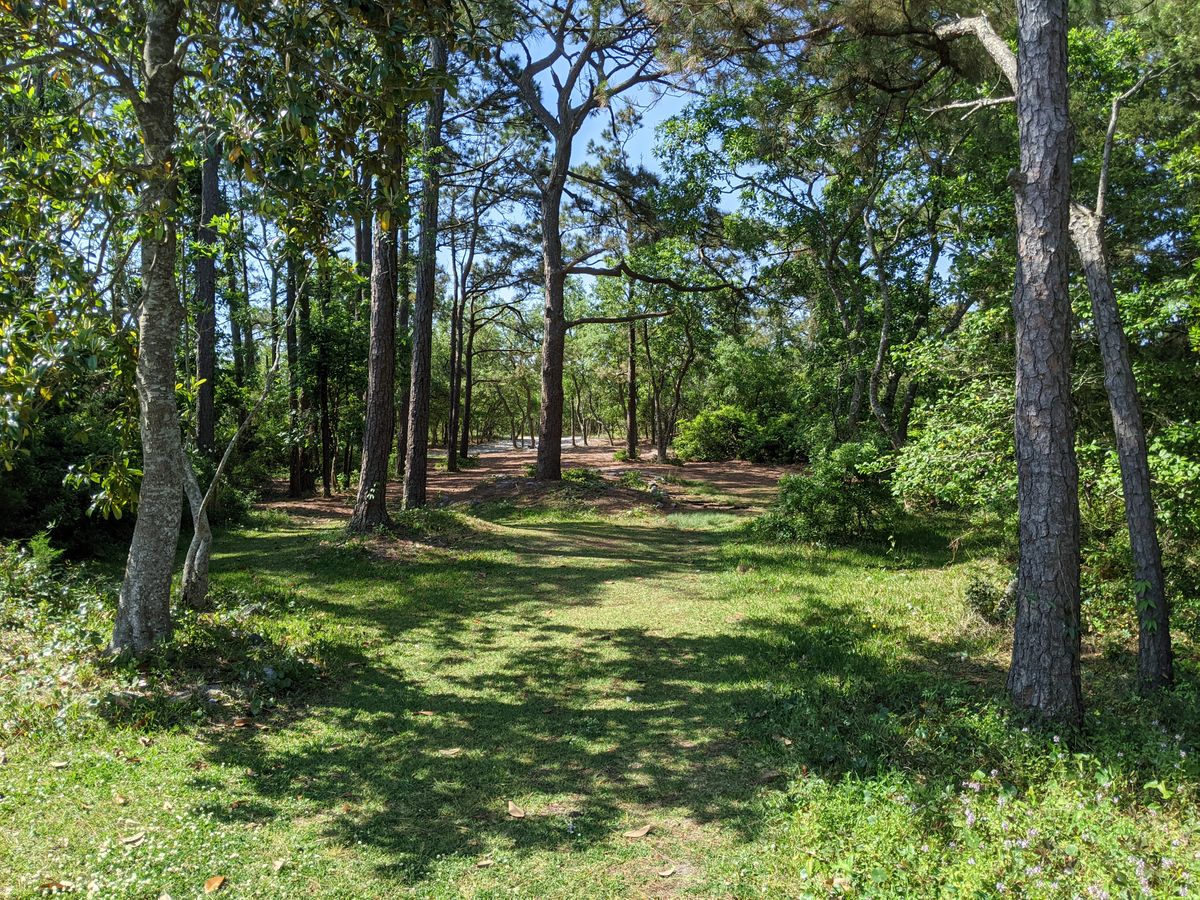 Hole 1 fairway