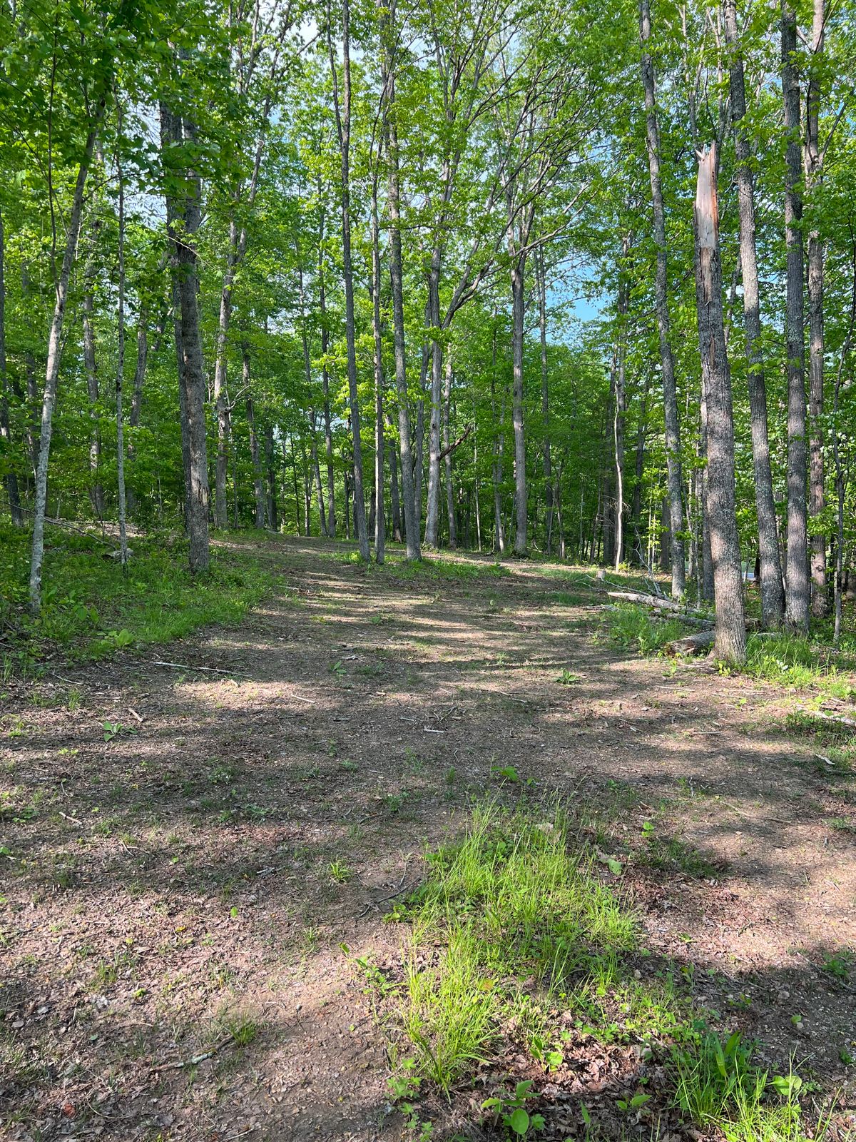 Hole 9 Mid-Fairway