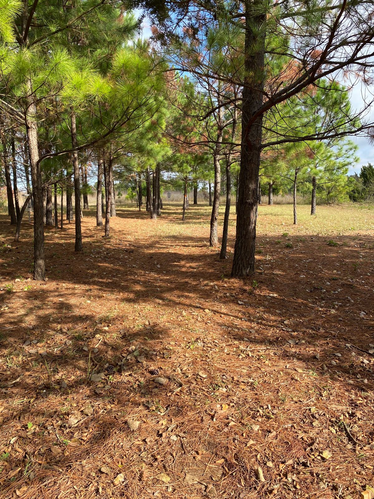 Hole 10 Pad