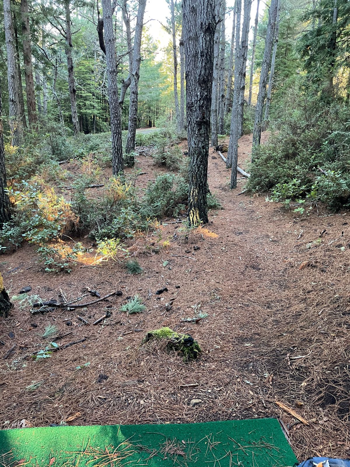 16 is tucked on the  upper right side of the road.