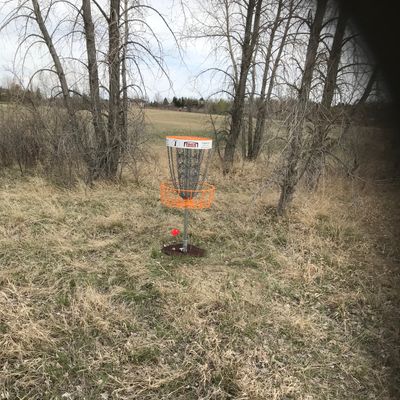 Hole 1 A Basket