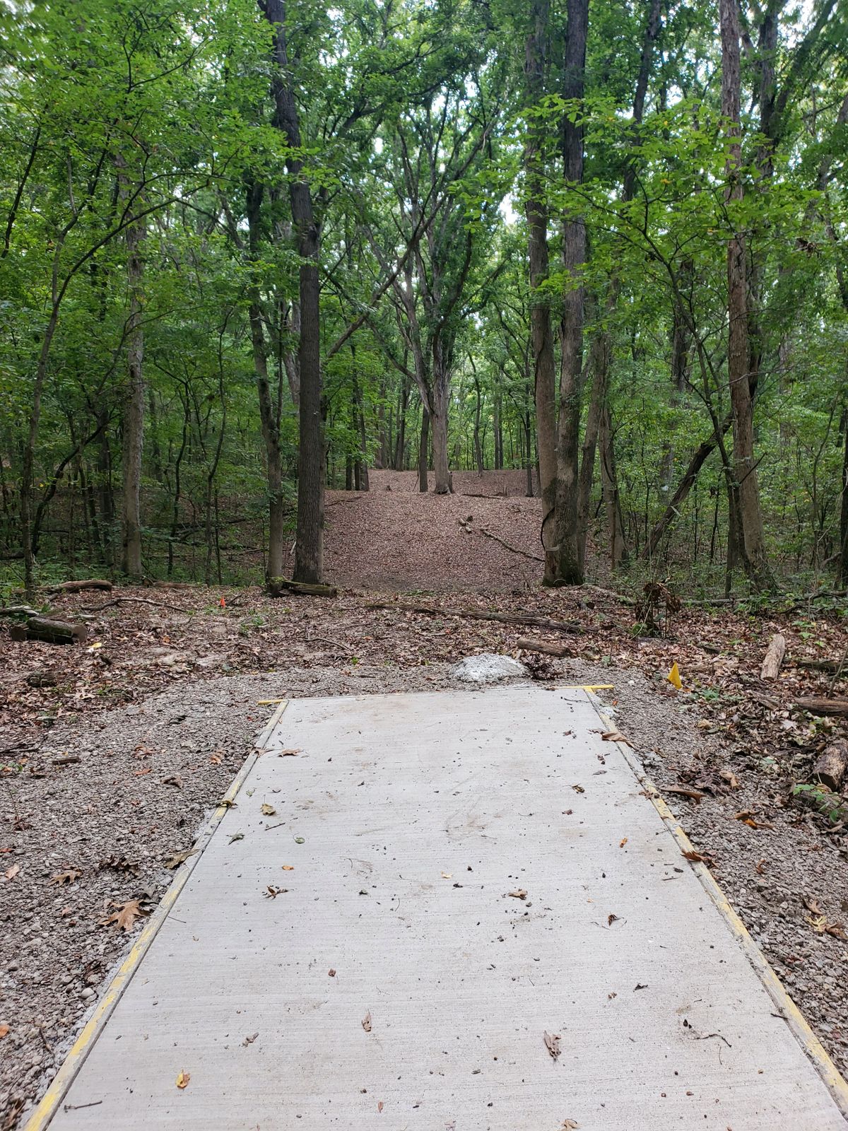 Hole 11