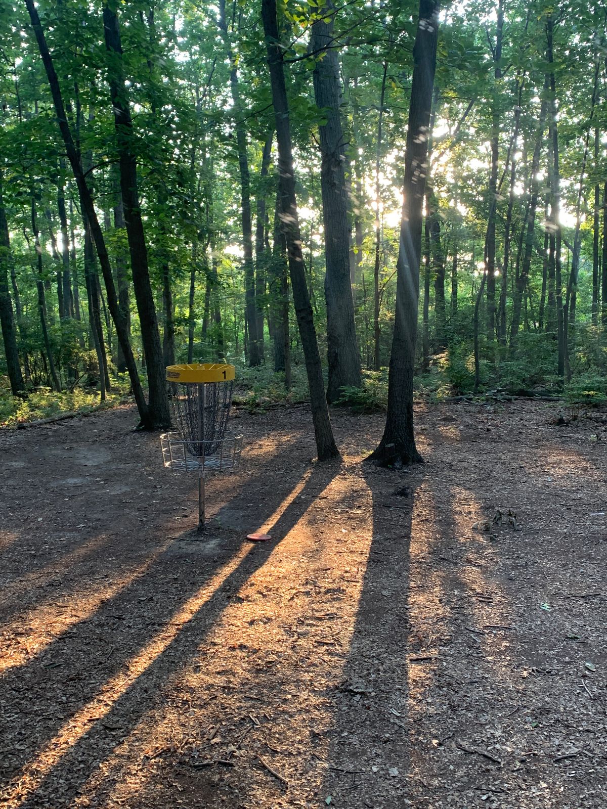 Hole 1 basket at sunrise