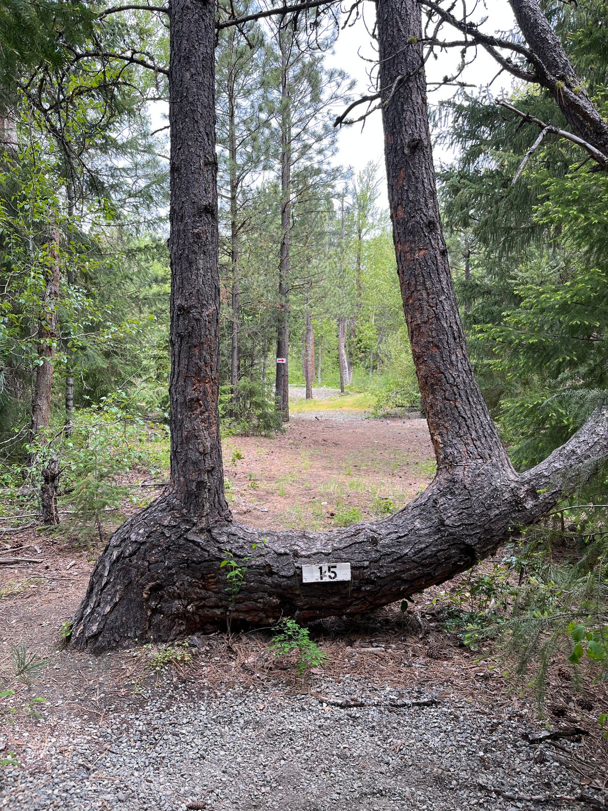 View from 15th tee.